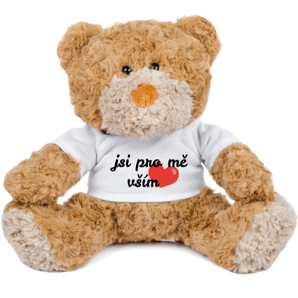 Medvídek Teddy s potiskem Jsi pro mě vším